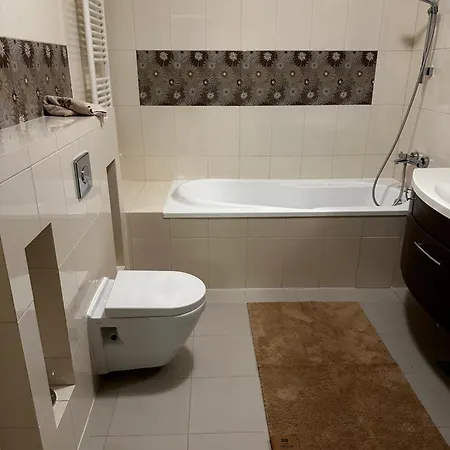 Apartment Floreasca - Tiriac Open Bucharest